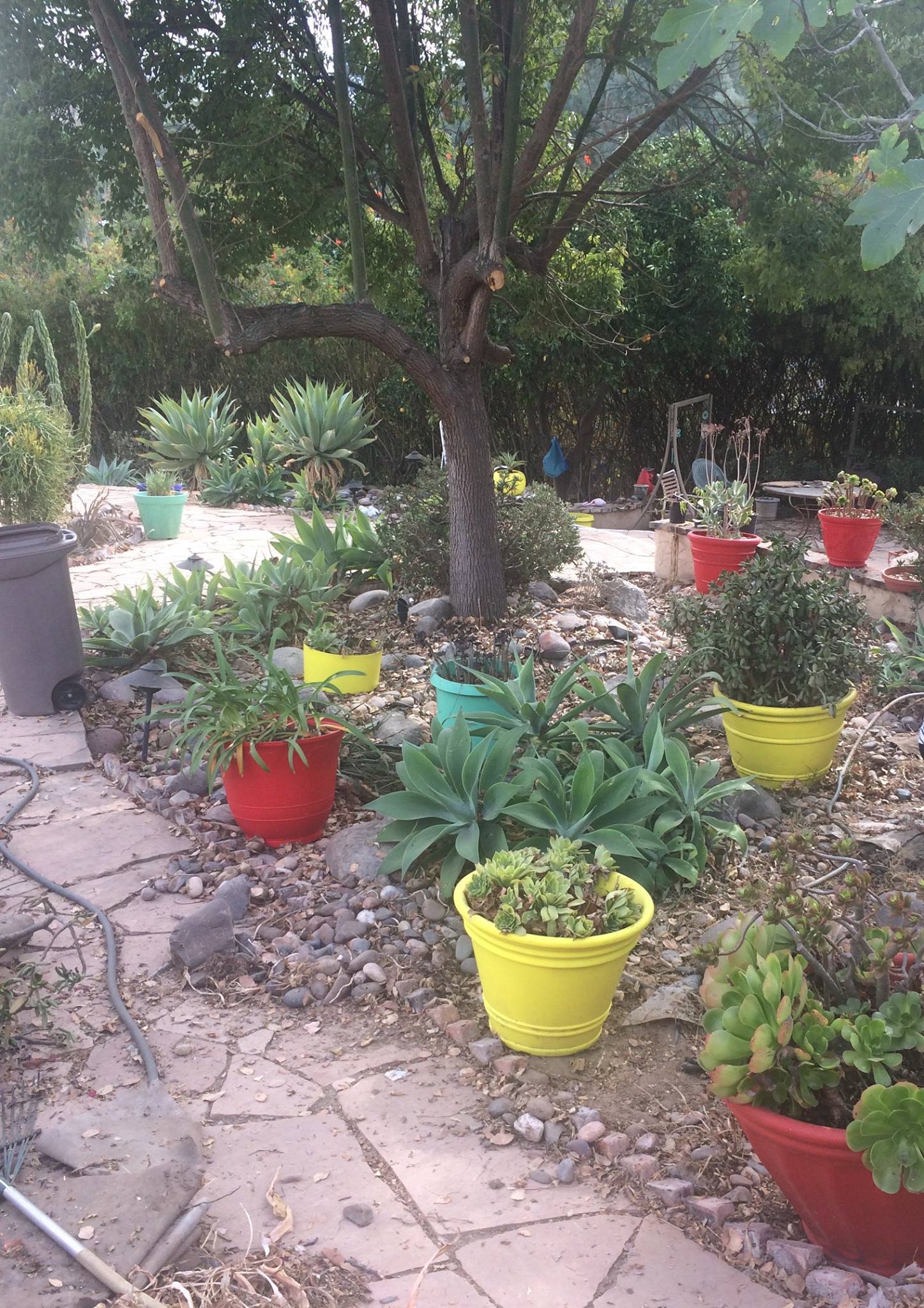 sacred garden in the Mount Helix area of San Diego2