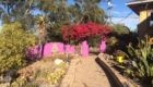 Dr. Carolle's Garden Sanctuary San Diego3