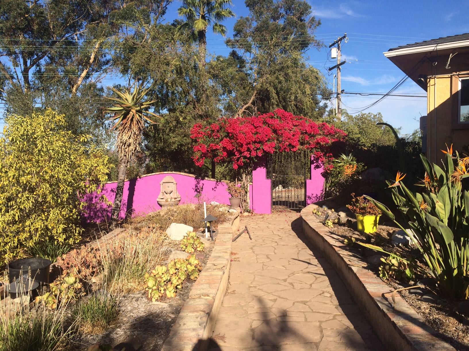 Dr. Carolle's Garden Sanctuary San Diego3